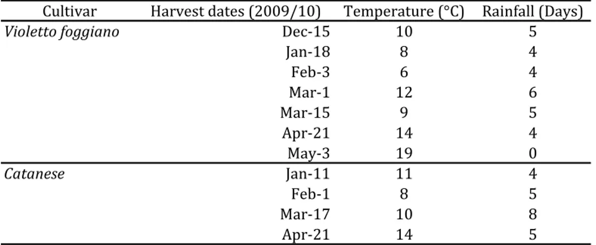 Table 2.1 – Harvest dates, mean temperature (°C) and rainfall (in days) recorded during 15 days before harvest for  “Violetto foggiano” and “Catanese” artichokes