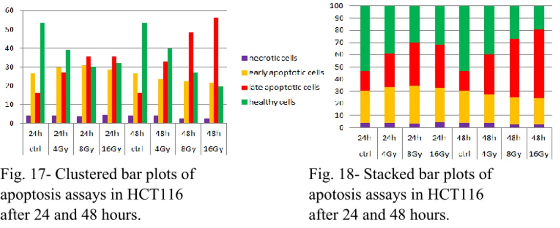 Fig. 17- Clustered bar plots of  apoptosis assays in HCT116    after 24 and 48 hours. 