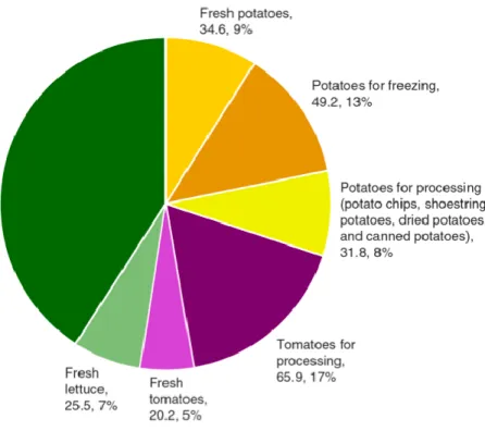 Figura  1.11  Consumi  (chili)  pro  capite  e  percentuale  di  verdure  e  legumi disponibili, 2013 