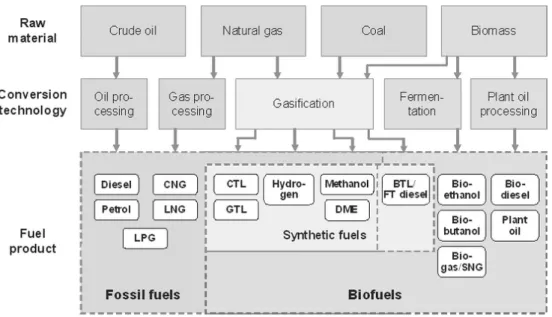 Figure	1:	Methods	of	producing	biofuels	from	biomass.	(Festel,	2008)	