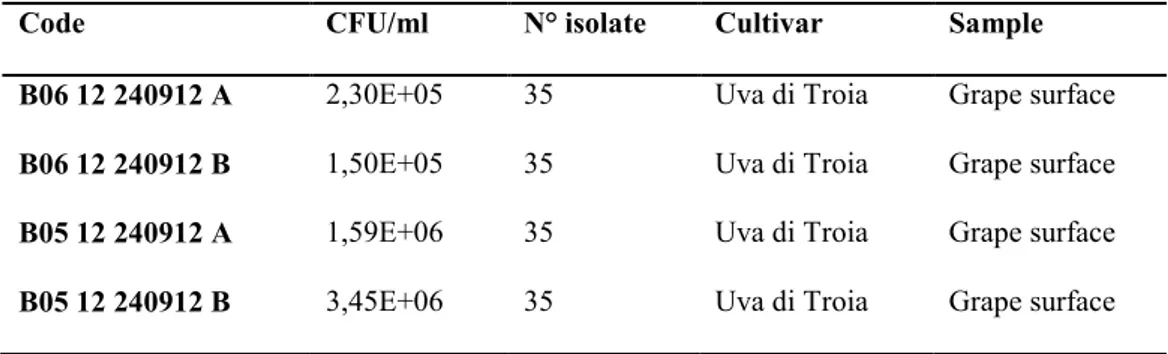 Table 12. Yeast  population and number of yeast isolated from grape surfaces of Uva di Troia
