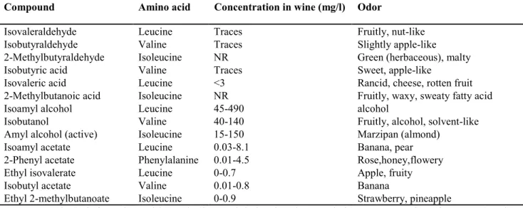 Table 1. Branched-chain amino acid metabolites and their odor characteristics, Concentrations from Lambrechts 