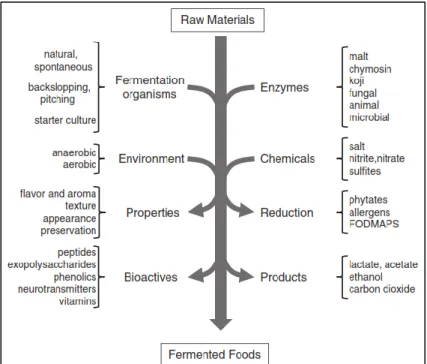 Figure 1. Overview of fermented foods processing. Raw material are fermented in specific condition to 