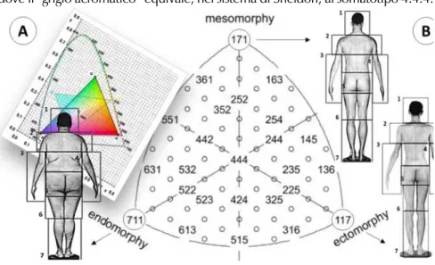 Figura 1. A) Sistema di mappatura tricromatica del colore. B) Sistema morfo-antro- morfo-antro-pometrico di Sheldon