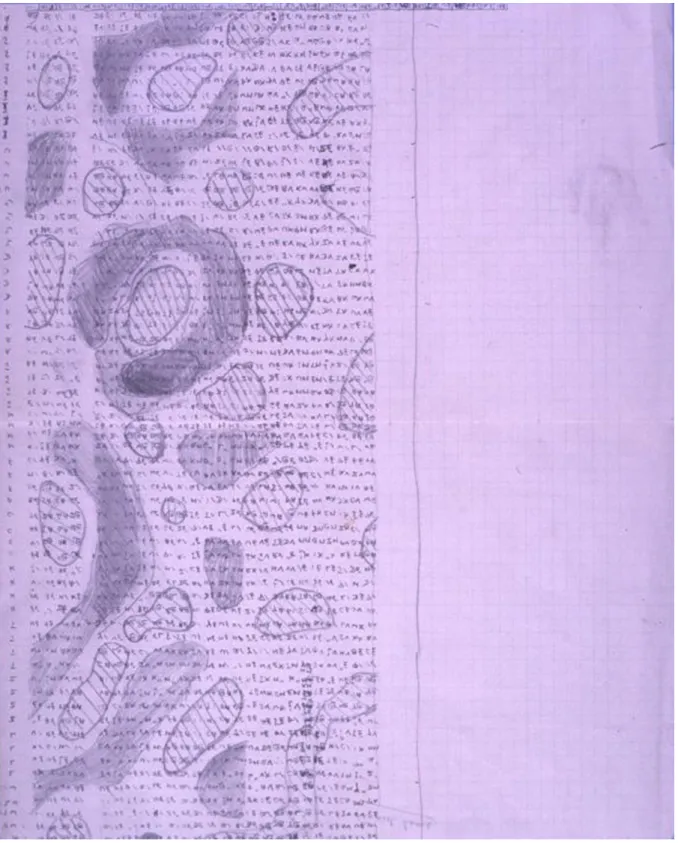 Figure 4. An example of pattern drawn by Alan Turing: he wrote the results of his equations, previously calculated with a  computer, on a paper printout and then connected the points with constant concentration of the morphogen to visualize the  spots
