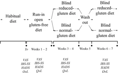 Figure 1. Crossover design of the study and the timing of clinical evaluations. IBS-SS, Irritable Bowel  Syndrome  Severity  Score;  VAS,  Visual  Analogue  Scale;  HADS,  Hospital  Anxiety  and  Depression  Scale; QoL, Quality of Life