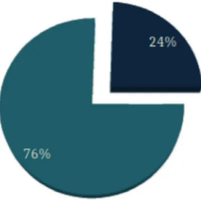 Fig. 6.1. Percentage in EDB of the “illustrated inscriptions” (chart by A. E. Felle).