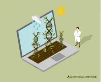 Figure 2. A new figure of breeder is beginning to thrive in the niche created by biotechnological and 