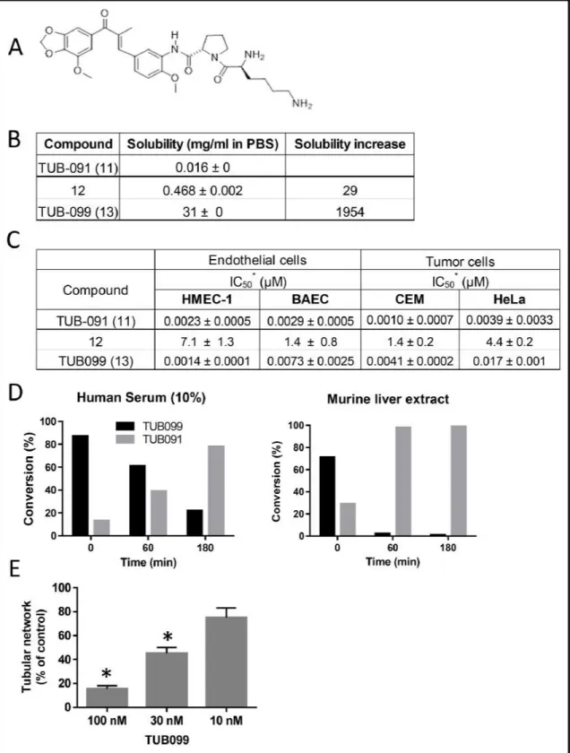 Figure 7: Biological evaluation of TUB091 prodrugs.  (A)  Structure  of TUB099,  the  L-lysyl-L-prolyl  derivative  of TUB091