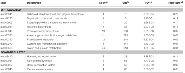 TABLE 5 | KEGG pathway enrichment of differentially expressed genes in Mol vs. Gal.