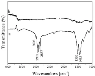 Figure 2. FT-IR spectra of TiO2  nanorods: a) before and b) after treatment under ozone flow for 1 h