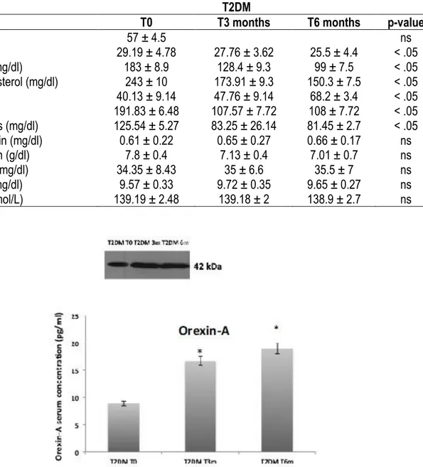 Figure 1. Orexin-A levels strongly modulated by physical activity in T2DM patients. Orexin-A serum levels  statistically increased in T2DM patients before and after 3 months and 6 months physical activity protocol