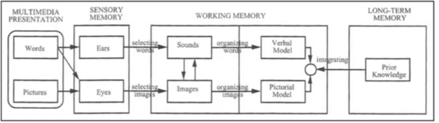 Figura 1- Teoria cognitiva dell’apprendimento multimediale 