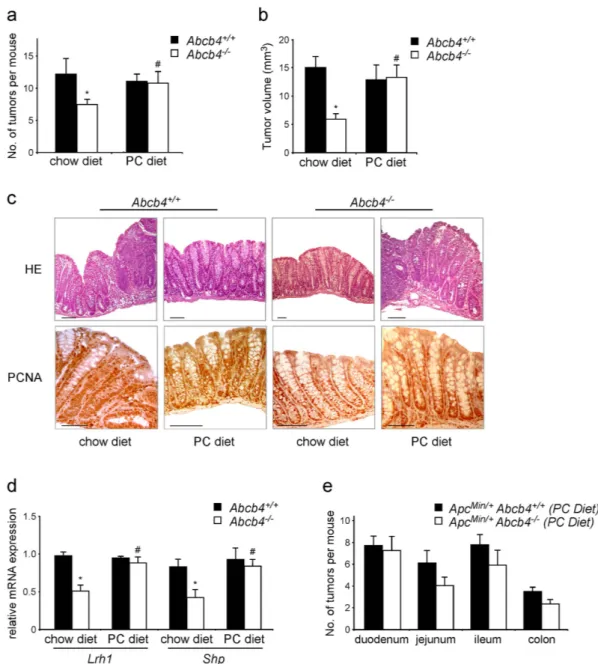 Figure 4.  Dietary phospholipids abolish the tumor protective phenotype of Abcb4 −/−  in the chemical 