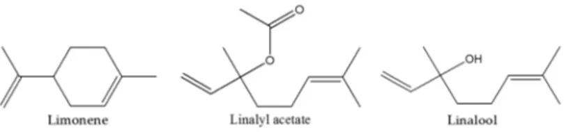 Figure 1. Main compounds present in volatile fraction of bergamot essential oil (BEO)