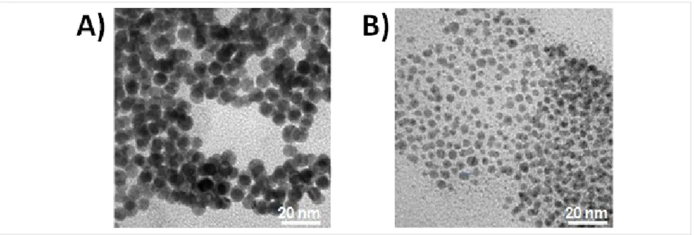 Figure 1: TEM images of electrochemically synthesized core–shell A) Au NPs and B) Pd NPs.