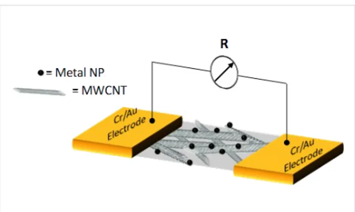 Figure 2: Schematic view of the two-pole chemiresistor based on a