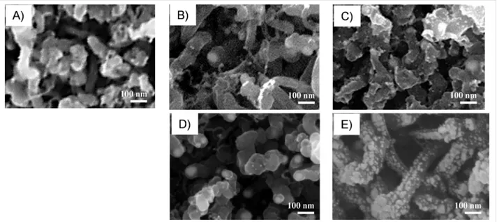 Figure 4: SEM images of A) pristine MWCNTs, and metal-decorated MWCNTs with B) 0.3 at