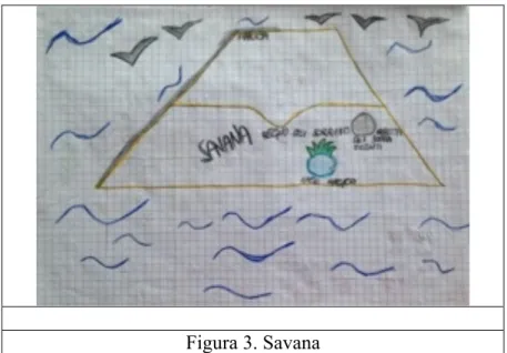 Figura 3. Savana 