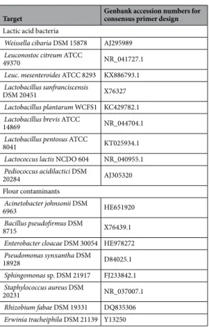 Table 1.  List of lactic acid bacteria and main flour contaminants used for consensus primer design.