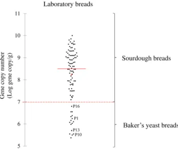 Figure 1.  Scatterplot based on gene copy number as determined from laboratory breads