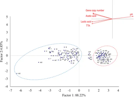 Figure 4.  Principal Component Analysis. Score and loading plots of first and second principal components 