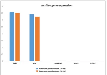 Figure 4.  Gene structure and protein domain prediction of WAK2 gene in the FHB-resistant hexaploid  accession 02-5B-318 and the FHB-susceptible tetraploid cv