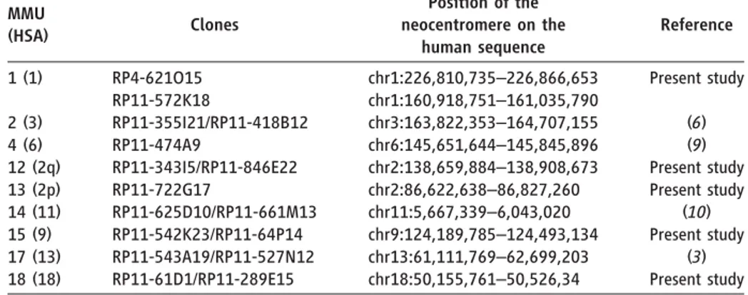 Table 1. Macaque chromosomes with neocentromeres. The two noncontiguous positions defining, in human, the ENC of chromosome 1 are due to the colocalization of the ENC with a  macaque-specific inversion breakpoint.