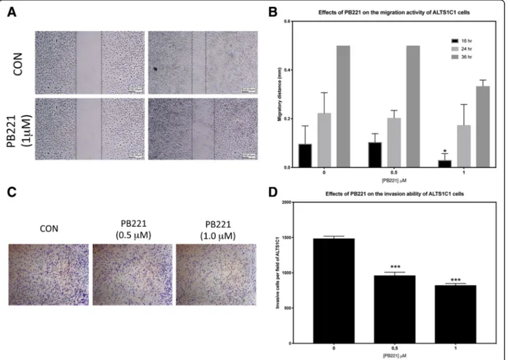Fig. 3 Effects of PB221 on brain tumor cell migration and invasion. (a) Represented pictures of migration assay illustrate the retarded cell migration rate of ALTS1C1 cells following 1 μM PB221 treatment for 16 h