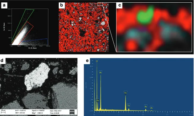 Fig. 10: μ-XRF (25 μm resolution) and FEG-SEM-EDX data of an As-polluted soil from the gold mining district of Monte Rosa 
