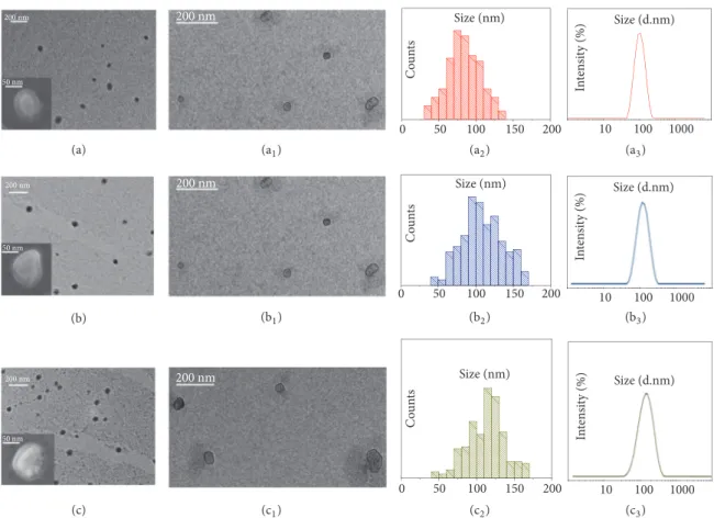 Figure 1: Analysis of morphology and size distribution of freshly isolated sEVs performed by TEM, SEM, and DLS investigation