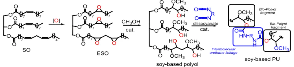 Figure 2. Scheme of general synthesis of soy-based PU. 