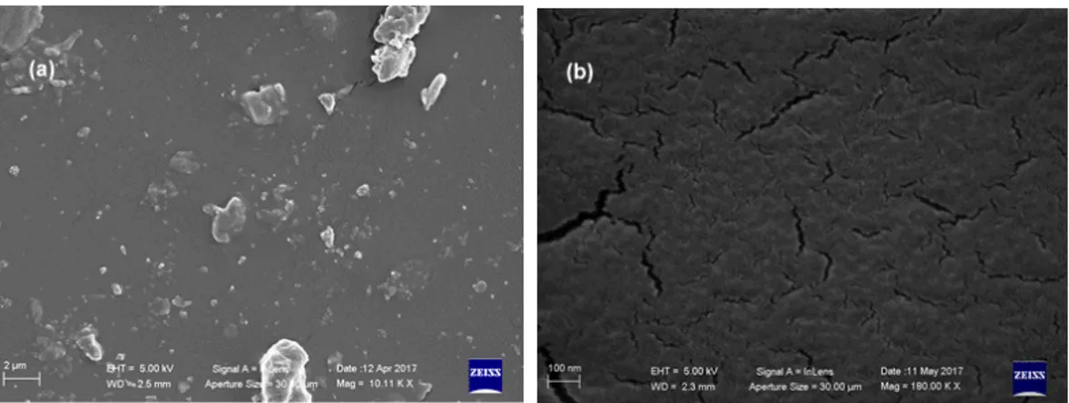 Figure 5. SEM microphotographs of BioPU_100 at different magnifications: (a) 10 Kx; (b) 180 Kx