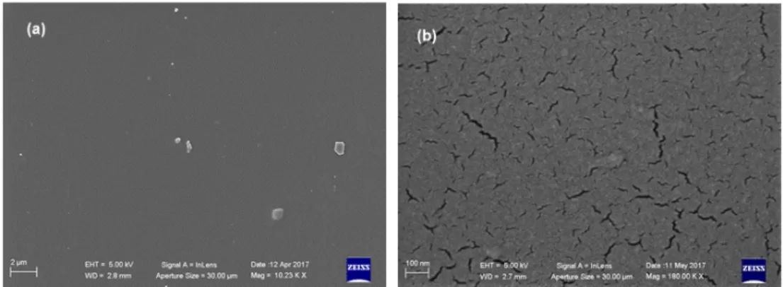 Figure 7. SEM microphotographs of PU_3810/K22/H12MDI at different magnifications: (a) 10 Kx;    (b) 180 Kx