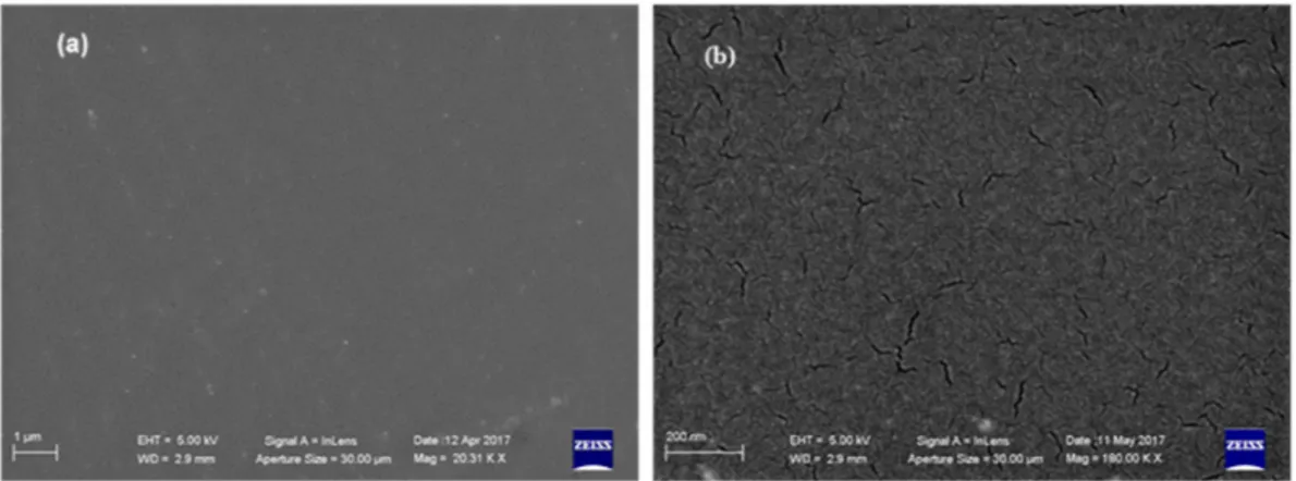 Figure 10. SEM microphotographs of BIOPU_25 at different magnifications: (a) 20 Kx; (b) 180 Kx