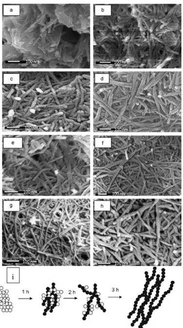 Figure 5. Large-scale hydrothermal synthesis is explored to produce surfactant-free seed mediated mesoporous TiO 2 nanowires by Asiah et al