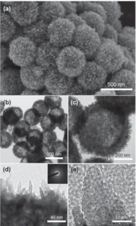 Figure 5. Large-scale hydrothermal synthesis is explored to produce surfactant-free seed mediated 