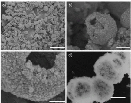 Figure 4. Large-scale synthesis of porous TiO 2  hollow aggregates reported by Liu et al