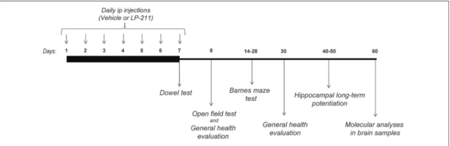 FIGURE 1 | Experimental Design.