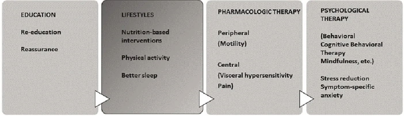 Figure 2. General therapeutic approaches in irritable bowel syndrome (IBS) patients