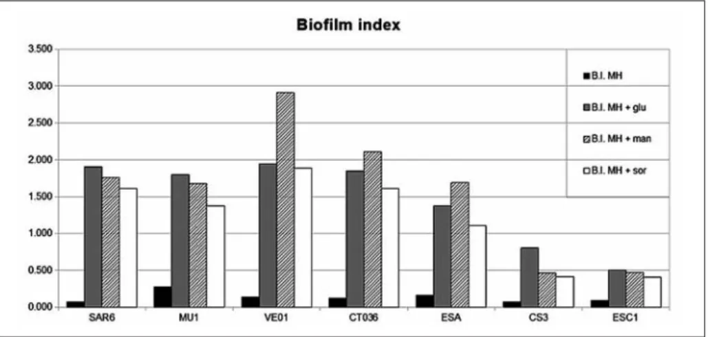 Fig. I – Biofilm index of different Xenorhabdus spp. Tested media are indicated on the right.