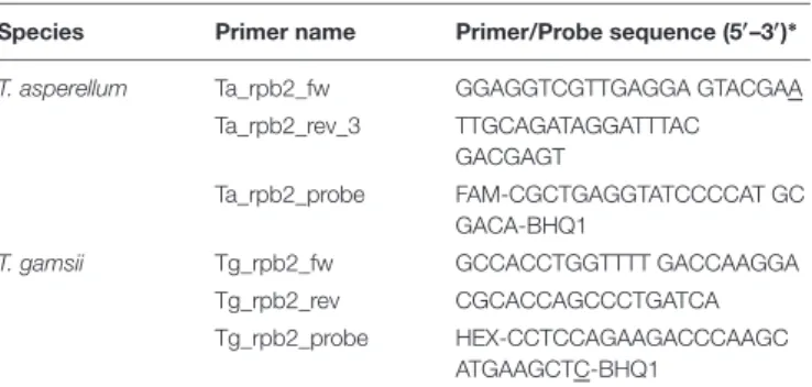 TABLE 1 | Primers/probe sets for T. asperellum and T. gamsii.