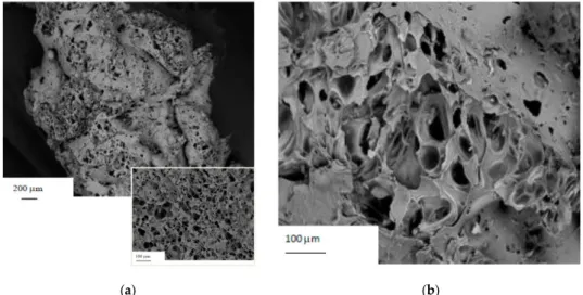 Figure 1 shows SEM micrographs of a representative perlite bead (Figure 1 a) and a magnification of the open porosity (Figure 1 b), together with an extended internal (closed) porosity (inset Figure 1 a).