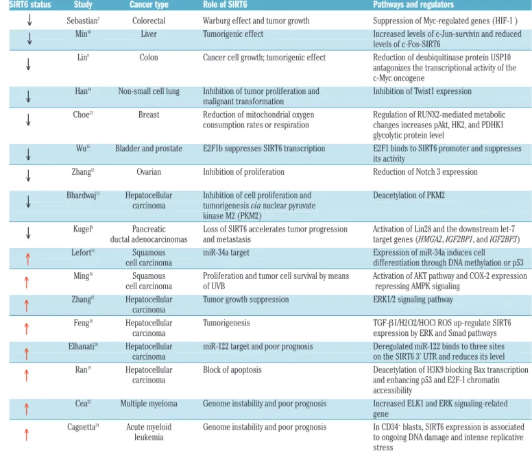 Table 1.  SIRT6 expression and its role in cancer.