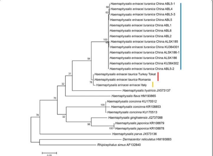Fig. 3 Phylogenetic relationships of Haemaphysalis spp., including H. erinacei ssp., based on the amplified part of the cox1 gene