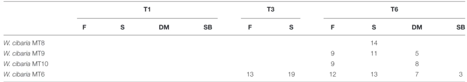 TABLE 3 | Alpha diversity indexesa of Bacteria (16S rRNA) found in the flours (F) collected in Altamura (AM), Castellana Grotte (CG) and Matera (MT), found in the swab samples of bakery equipment (E) collected in CG at the beginning (T1) and end (T6) of th