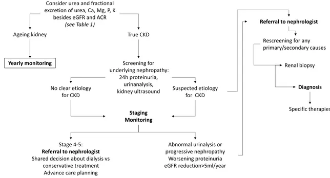 Fig. 3    Suggested diagnostic workflow to distinguish aging kidney from CKD and to investigate underlying nephropathy
