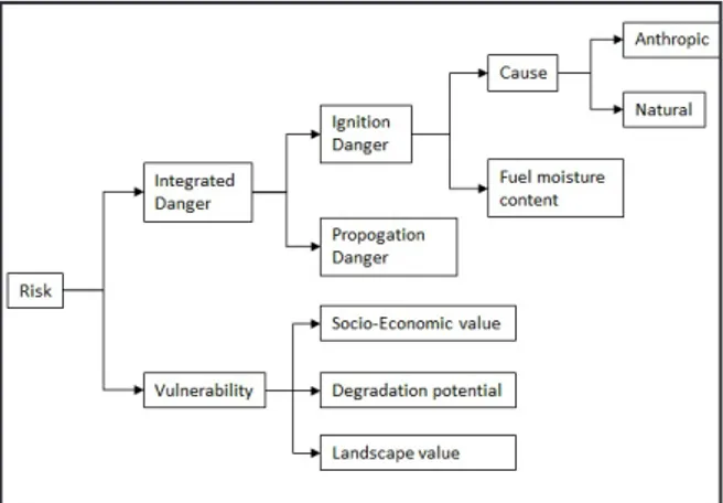 Figure 5 -  Framework for fire-risk assessment (Chuvieco et al. 2010 