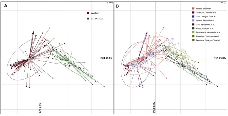 Figure 3. Prevotella copri Pangenome Differentiates Western and Non-Western Individuals