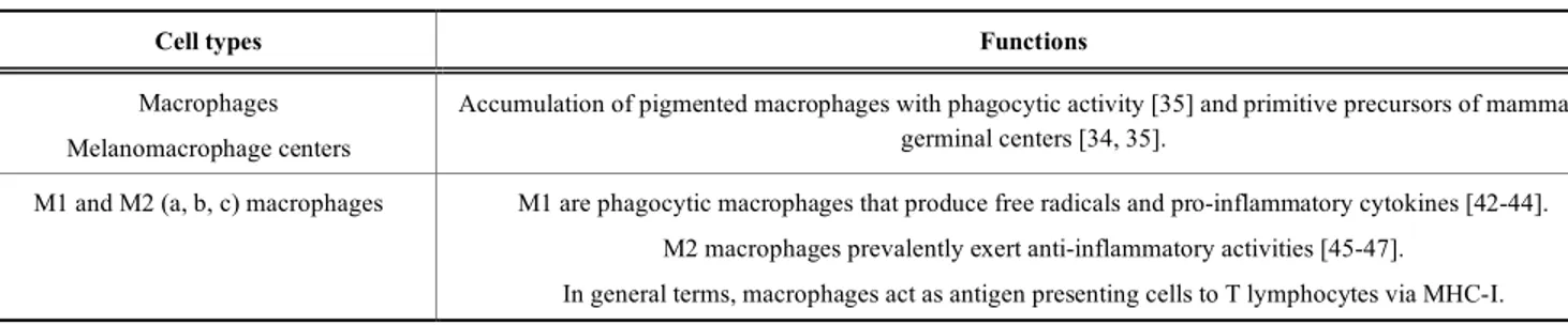 Table 2.  Subsets of fish T lymphocytes. 